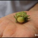 건계정식당 이미지