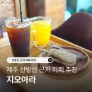지오아라 네이버블로그