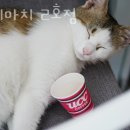 카페마치2호점