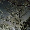 몬스터 레스토랑 이미지