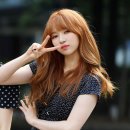 로하 이미지