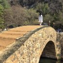 만년교 Daum카페