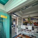 주전넘에화장실 | 울산 백숙 맛집 주전백숙 한방오리백숙 주전몽돌해수욕장 맛집