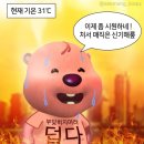 룰루피씨방 | 과연 콩국수 몇 번 먹었을까 8월