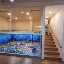 키즈마루 증평점 이미지