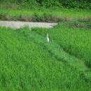 도이2리 이미지