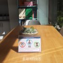 온부동산중개사무소 이미지