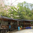 구구산장민박 이미지