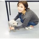 케이크부 이미지