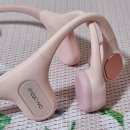 헬스플러스블루 | 수영장 골전도 이어폰 추천 모자와 런플러스 핑크 1년 사용 후기