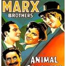 Animal Crackers 이미지