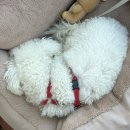 이강산농장 이미지