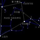 머리털자리