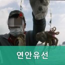 연안유선 이미지