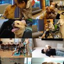 콩이콩이