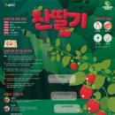 센터플레이스제1차