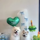 코아페농장 이미지