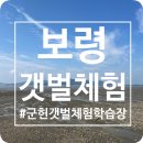 꽃길을 따라서 체험학습장 | 보령 갯벌체험 추천 🌊 대천해수욕장 근처 군헌갯벌체험장 후기