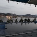 이든독 이미지