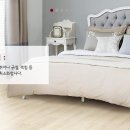 포유인테리어 이미지