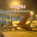 871 | 인천 상하이 항공권 이스타항공 ZE871 기내식 후기 NOL 특가