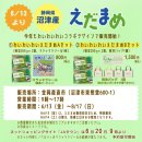 와이와이