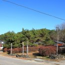 진주 대천리 입석 이미지