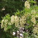 한길공원 이미지