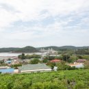 바다향기애 이미지