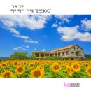 해바라기카페 - 포천시 구절초로 18 | 해바라기카페
