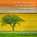 남진경로당 네이버블로그