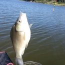 보성강5 이미지