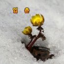 유*승