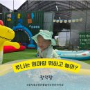 야채팜 - 해운대구 재반로242번길 21-16 | 광덕팜 팜크닉 체험 후기, 아이와 함께 즐기는 힐링 농장