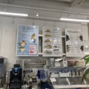 은지마차 이미지