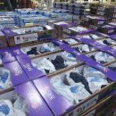 경북청과 이미지