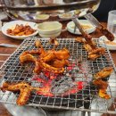 포항 곰장어 맛집 원조 산호 숯불 아나고 곰장어 후기