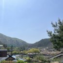 영은식당 | 충북 단양 맛집 영은식당 왕겨숯 삼겹살 곱창전골 현지인 단골집 필수코스!