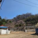 공산성남문길 이미지