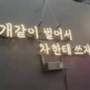 퍼니모터스 이미지