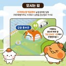 감귤홍보관 이미지