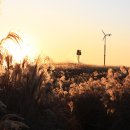 하늘공원 이미지