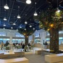 멕시카나예산점 | 익산평택고속도로 예산예당호 휴게소 메뉴 식당 솔직 후기