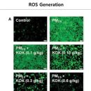 세교삼성한의원 이미지