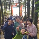 한식당소운 | 하코네 여행🌟 하코네 신사, 하코네 로프웨이, 소운잔 검은계란, 하코네 XIV 이궁(엑시브 하코네 별궁...