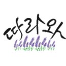 정가네춘천닭갈비막국수 이미지