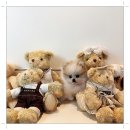 마마스미독 강아지분양 대전점 이미지