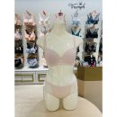 티에스인터내셔널 이미지