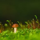 시골밥상 농어촌민박 이미지