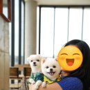 피이아이커피 이미지